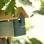 Agriturismo Rossolampone Κατάλυμα σε φάρμα San Bernardino Verbano