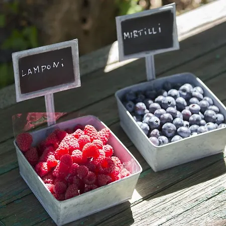 罗索兰姆朋农家乐 农家乐