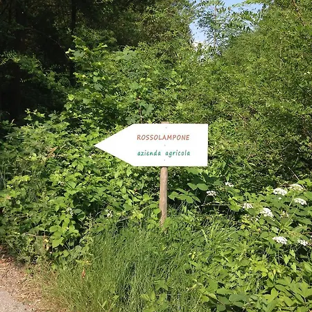 Rossolampone